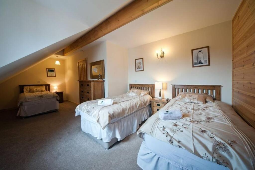 Beech Tree Eco Lodge Brecon Exterior foto